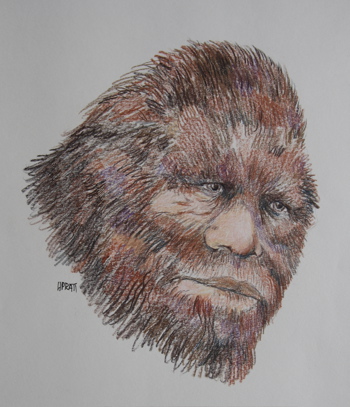 Bigfoot DNA Test Outcomes and Facts