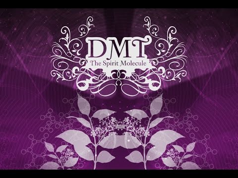 DMT Spirit Molecule Documentary