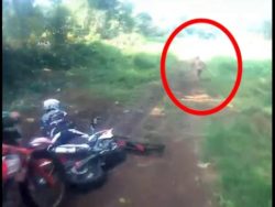 Orang Pendek Sighting Captured on Video