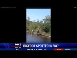 Bigfoot Spotted in Virginia