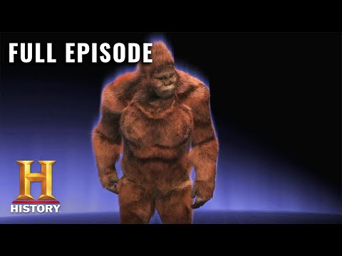 Bigfoot found in Washington State? View the evidence