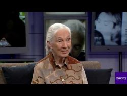 Jane Goodall believes in Aliens and Bigfoot