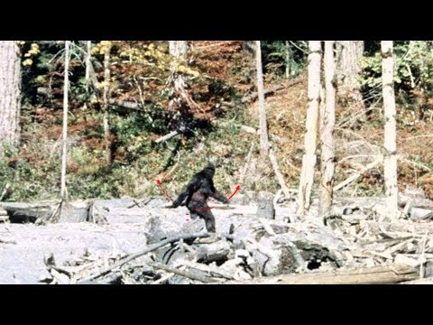 Patterson Gimlin Bigfoot Film Stabilized in 4K