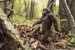 How Bigfoot Got Its Name