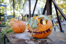 Socrates Sculpture Park Halloween Harvest Festival