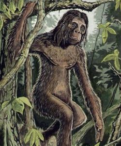 Orang Pendek of Sumatra