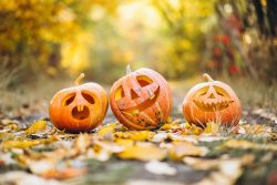 Halloween Pumpkin Carving – Origins of Jack-o’-Lanterns