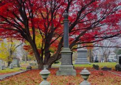 Dive into Salem’s Dark History with the Mysteries & Murders Tour