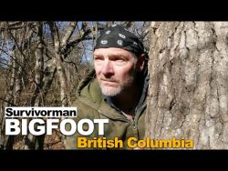 Survivorman Bigfoot in British Columbia – Episode 2