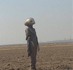 Alien caught on camera in a field