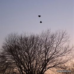 Black Triangular UFOs Spotted Over Syracuse Sky