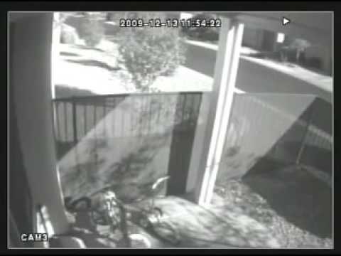 Strange Disappearance of Steven Koecher