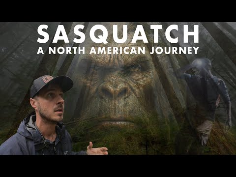 Man Spends Year Searching for Bigfoot by Himself