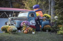 Halloween Yard Display in Little Switzerland, NC